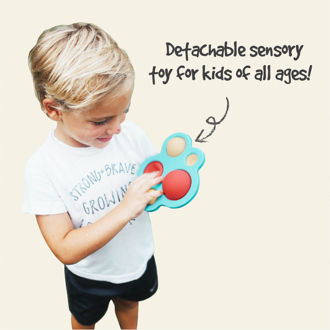 PortaPlay Toy - Bubbles