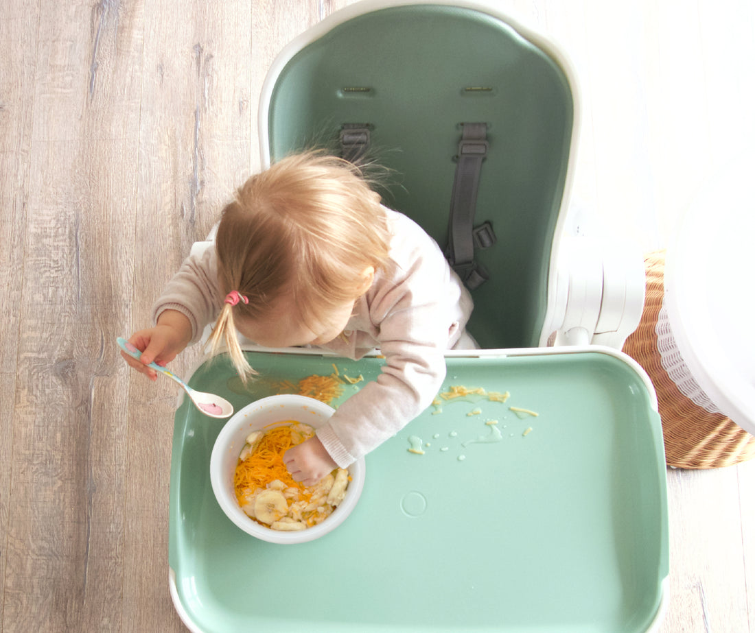 Pumpkin Pie Baby Food Puree